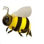 donnabee avatar