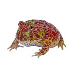 froggo123 avatar