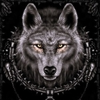 Profile picture of wolfie